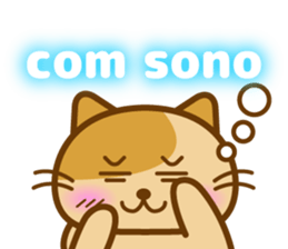 8084054