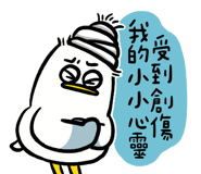 808406717