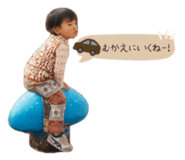 808420446