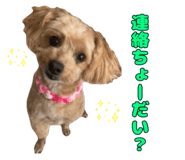 808427778