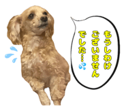 808427780
