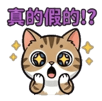 808436589
