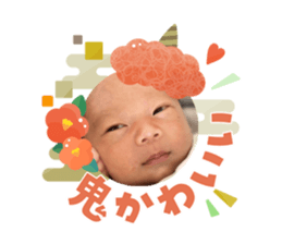 808441346