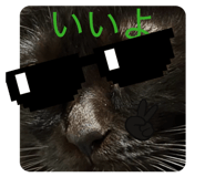 808452253