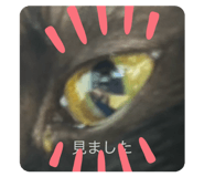 808452262