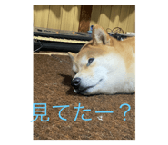 808487221