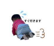 808495461