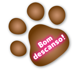 8085019