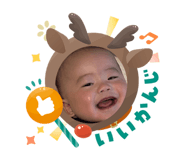 808504345