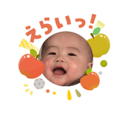 808504356