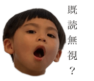 808511084