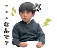 808511086