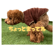 808512030