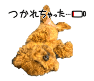 808512039