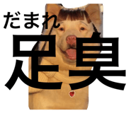 808541101