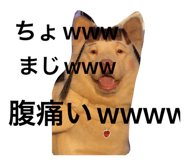 808541103