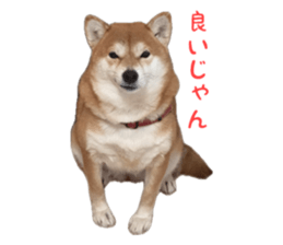 808543307