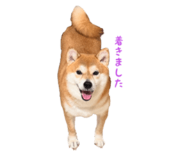 808543314