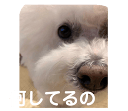 808548583