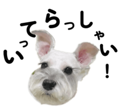 808554758