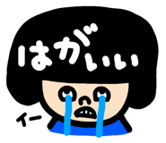 808555134