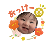 808558272