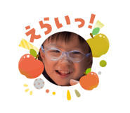 808558955