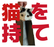 808558969