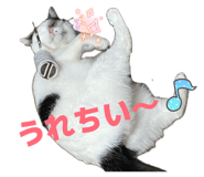 808558970