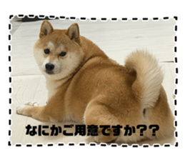 808559650