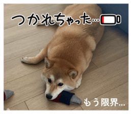 808559655