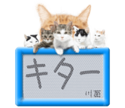 808562832