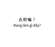 808566329
