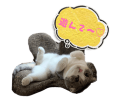 808595878