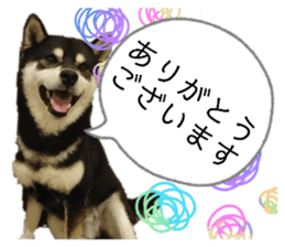 808609059