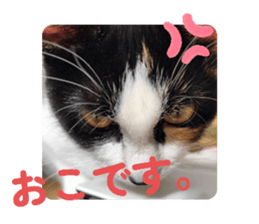 808609561