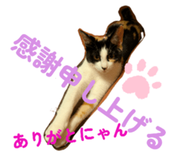 808609567