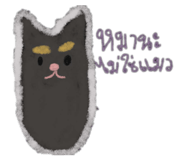 808611553
