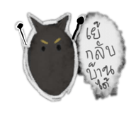808611557