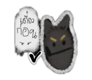 808611558