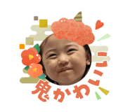 808623697