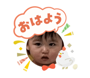 808623704