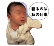 808625032