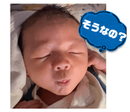 808625037