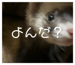 808634681
