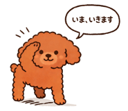 808641226