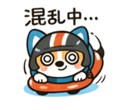 808645721