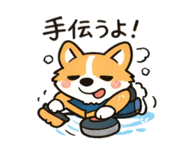 808645722