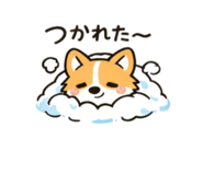 808645723
