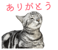 808648486